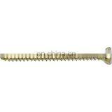 China Manufacture Veterinary Bone Surgery 1.5/2.4/2.7mm Cortical Self-tapping Screw Orthopedic Surgical Trauma Implants thumbnail-1