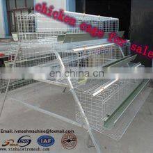 Hot Selling Africa Chicken Cage for Sale Automatic Chicken Layer Cage for Sale thumbnail-4