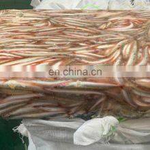 Good Price Frozen Sand Lance Whole Round thumbnail-3