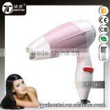 110V/220V promotion hair dryer