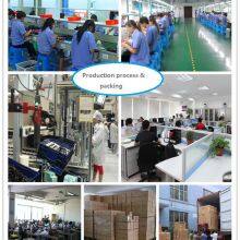 Shanghai Royal Electronics Co.,ltd company overview - view 1 thumbnail