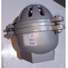 Чугунный резьбовой обратный клапан для погружных насосов размером 1-1/4 дюйма с антизабивной конструкцией thumbnail-2