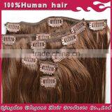 100% High Quality Full Head Indian Human Hair Clip in Hair Extension Remy