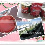 28-30 canned tomato paste 400g organic pasta,canned food for ghana