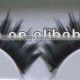 Human Hair Eyelashes