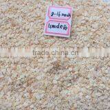 Grade A Garlic Granules Approved With FDA/QS/ISO/HACCP/KOSHER thumbnail-1