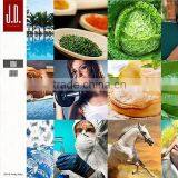 High Fashion Photography thumbnail-1