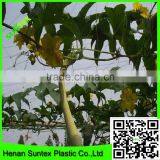 Suntex high quality climb plants supporting mesh netting