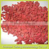 Avaliable Organic Dried Gojiberry Fruit thumbnail-1
