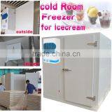 Cold Storage Room / Ice Cream Storage Freezing Room