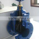 Resilient Seated Gate Valve Dn100 thumbnail-1