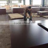 China Film Faced Plywood for Contruction With Cheap Price thumbnail-3