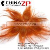 Leading Supplier CHINAZP Wholesale Best Quality Colored Orange Trimmed Short Peacock Feathers for Earrings