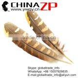 No.1 Supplier CHINAZP Top Selling 20-25cm Length Natural Reeves Venery Wing Pheasant Feathers for Decorations thumbnail-6