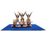 Flexi-roll Sports thumbnail-1