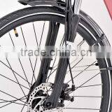 8FUN 250W/350W Rear Battery Pedal Assist Electric Bike With LCD Display thumbnail-5