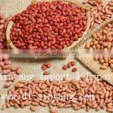 Wholesale Crispy Roasted Peanuts in Red Skin thumbnail-5