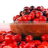 Cranberry Fruit Powder Extract Proanthocynidins 5--60% With Anthocyanidins 5-25% UV thumbnail-2