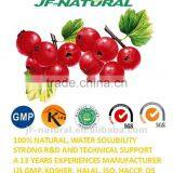 100% Natural Hawthorn Powder Fruit Powder ISO, GMP, HACCP, KOSHER, HALAL Certificated. thumbnail-1