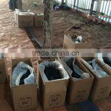 White Charcoal thumbnail-5