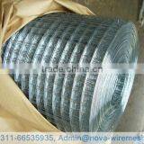 2x2 Welded Wire Mesh / Welded Wire Mesh for Sale / Reinforcing Welded Wire Mesh