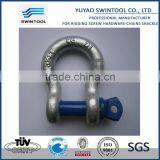 SGS certificated galvanized forged shackle price
