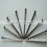 Common Nails/roofing Nails /iron Nails thumbnail-1