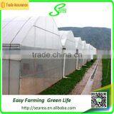 2015 Agricultural Multi Span Green Houses thumbnail-2