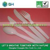 Eco-friendly Plastic Material PLA 100% Biodegradable & Compostable Pla Cutlery/pla Spoon thumbnail-1