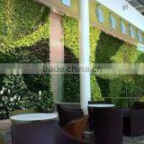 2017 Hot Sale Factory Price Artificial Plant Wall Artificial Plastic Plant Artificial Grass Wall thumbnail-4