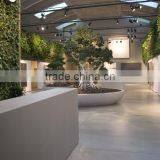 Eco-friendly Artificial Plant Wall ,artificial Grass Wall, Foliage Green Wall for Sale thumbnail-5