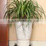 HIGH QUALITY Home Removable Metal Flower Shelf Plant Trolley Wheel Flower Shelf thumbnail-6