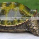 Antique Look Turtle Statue for Home Decoration thumbnail-1