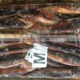 M Frozen Squid 200-300G Frozen Illex Squid thumbnail-4