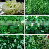 Anko Scale Commercial Electric Industrial Vegetable Fruit Cube Cutter thumbnail-4