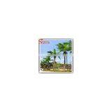 Artificial Big Coconut Palm Trees,cheap Large Fake Trees thumbnail-6