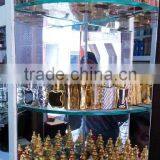 Indian Oud Origin Indian Pure High Quality Agarwood Essential Oil