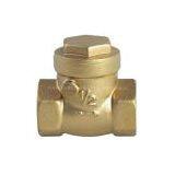 Check Valve thumbnail-1