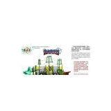 Plastic Slide Pirate Ship