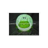 Animal Lights thumbnail-1