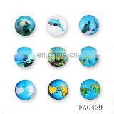 Website Magnetic Glass Underwater Word Picture Push Button Shirt Button
