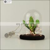 indoor or outdoor battery operated Christmas copper wire mini led string lights