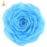 Big Size Preserved Flower Rose for Decor Supplies thumbnail-3