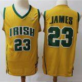 St.Vincent-St.Mary Fighting Irish #23 James Yellow Jersey