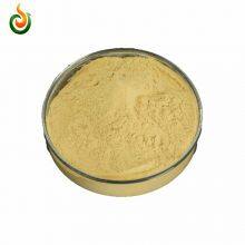 Chitosan Oligosaccharides Are Known as New thumbnail-1