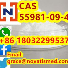 CAS 55981-09-4 /Nitazoxanide  with high quality