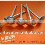 Umbrella Roofing Nails for You