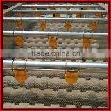 Automatic Brush Date Cleaning Machine|Ginger Washer and Cleaner Machine thumbnail-4