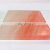 Salt Block 20cm*20cm*2.5cm