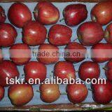 Apples Fresh Red Huaniu Apple From China thumbnail-1